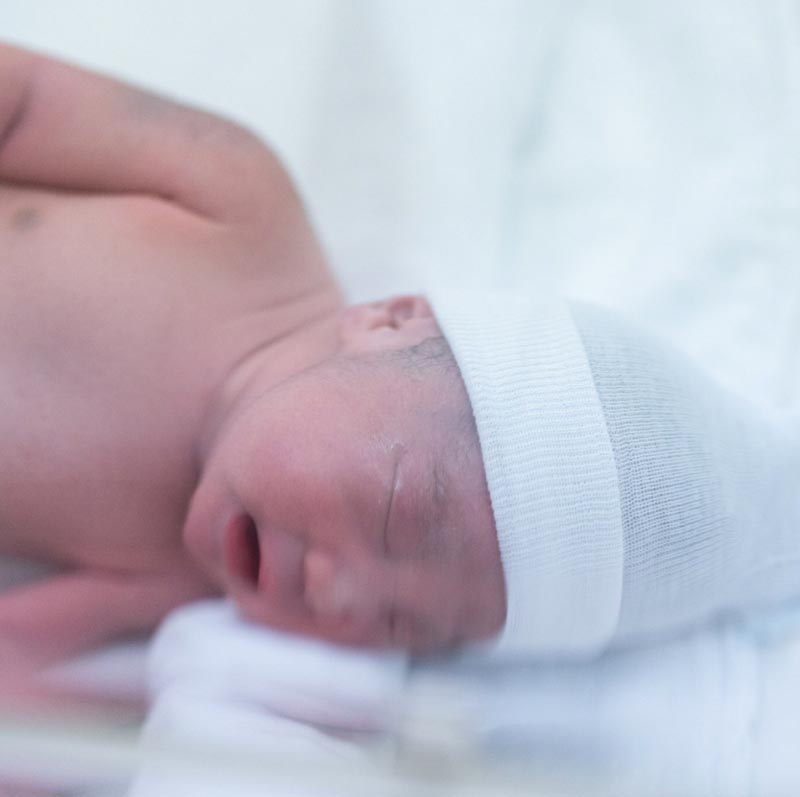 เบนซ์ พริกไทย น้องแมคลาเรน