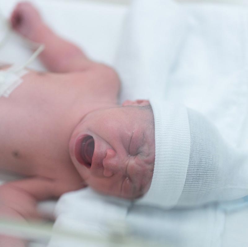 เบนซ์ พริกไทย น้องแมคลาเรน