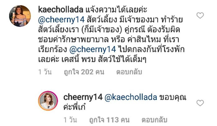 เชียร์ ฑิฆัมพร