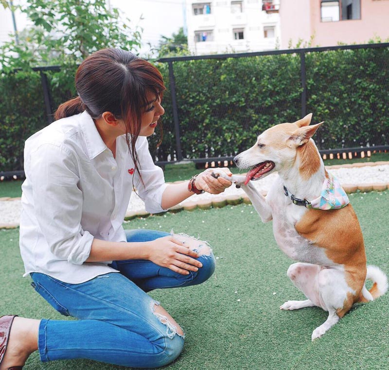 เชียร์ ฑิฆัมพร