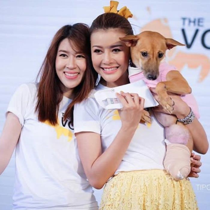 เชียร์ ฑิฆัมพร