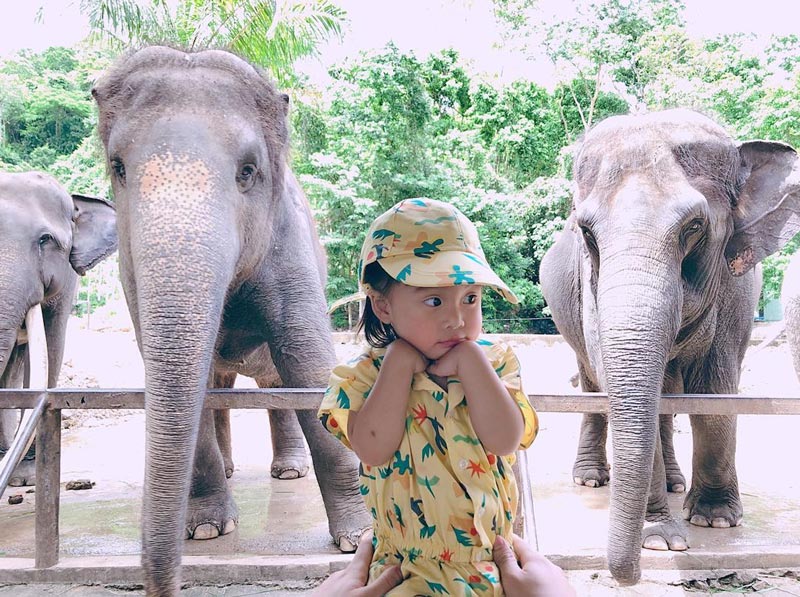 กุ๊บกิ๊บ บี้ น้องเป่าเปา