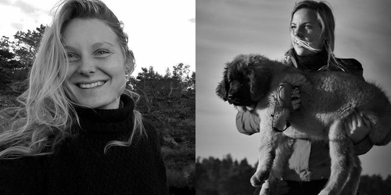 ฆ่าปาดคอ