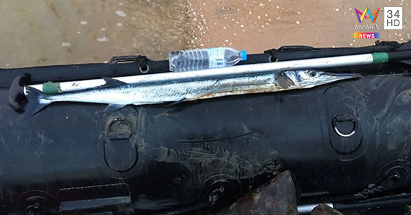 ทหารเสียชีวิต