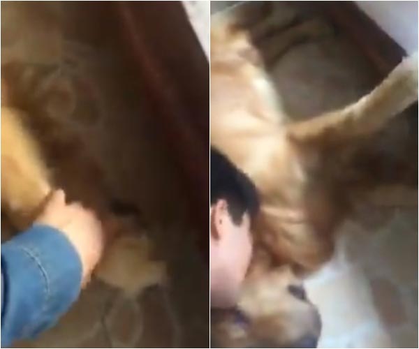 โป๊ป ธนวรรธน์