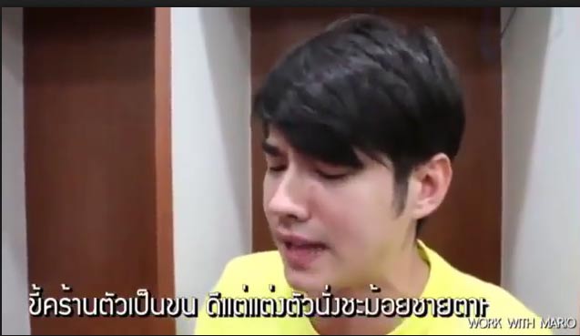 มาริโอ้ เมาเร่อ