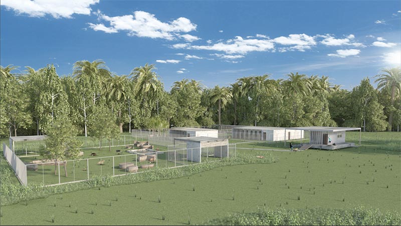 มูลนิธิเพื่อสุนัขจรจัดในไทย