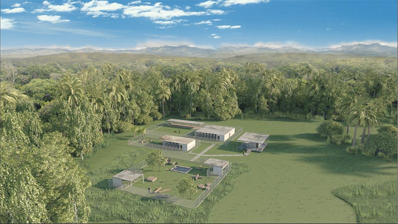 มูลนิธิเพื่อสุนัขจรจัดในไทย