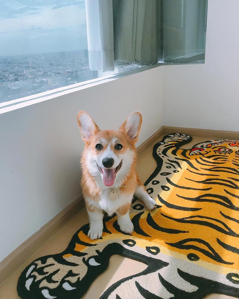 ขวัญ กอล์ฟ