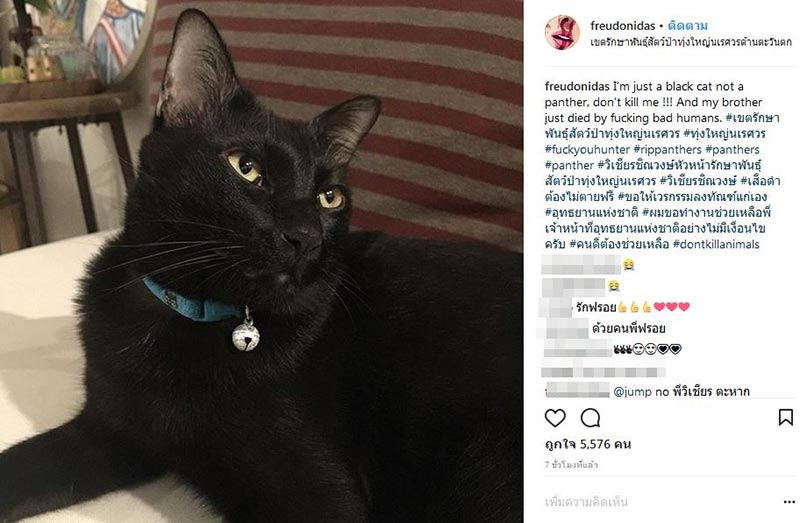 แพรว คณิตกุล