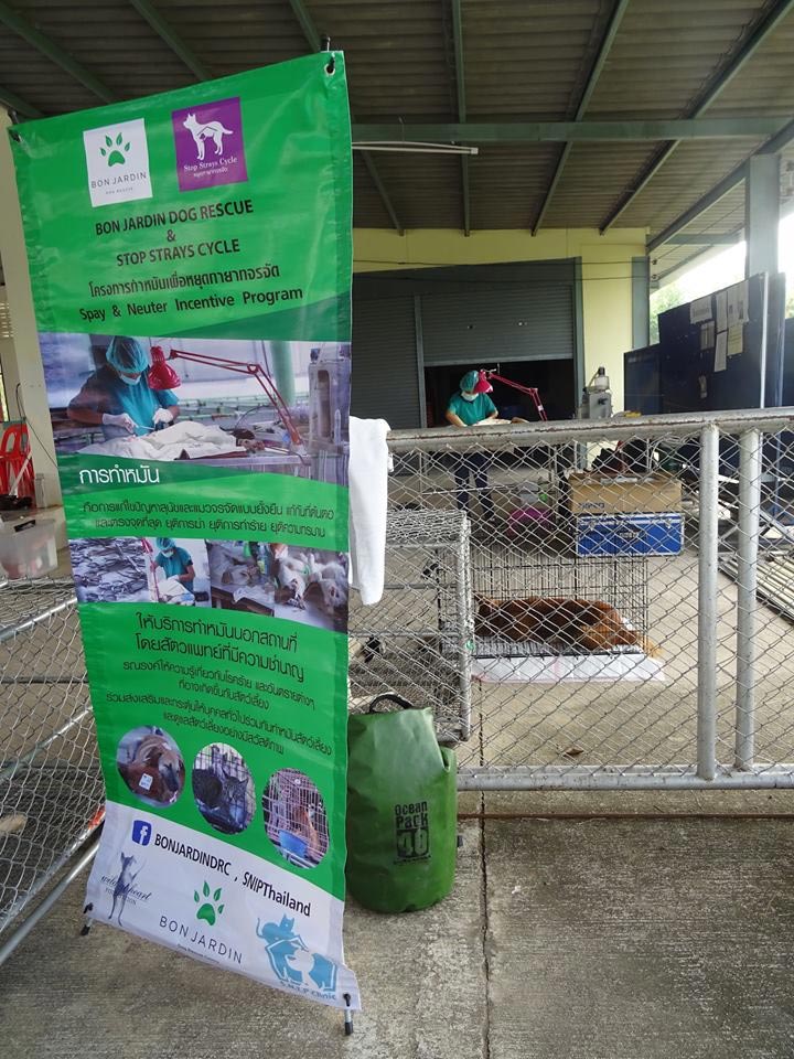 มูลนิธิเพื่อสุนัขจรจัดในไทย