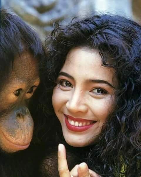 เหมียว ชไมพร 