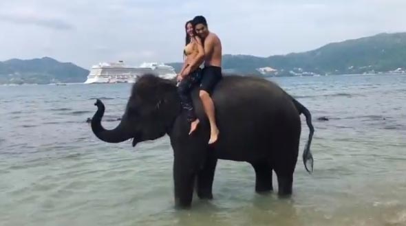 หวาย Kamikaze