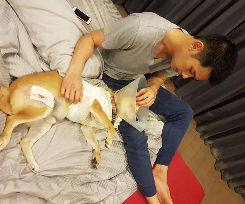 หมา กันต์ กันตถาวร โดนพิทบูลกัด