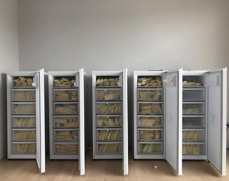 นาวิน ต้าร์ น้ำหวาน