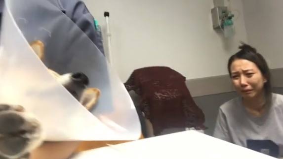 กันต์ กันตถาวร