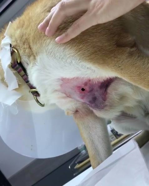 กันต์ กันตถาวร