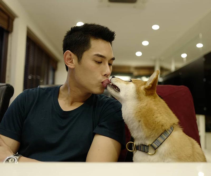 หมา กันต์ กันตถาวร โดนพิทบูลกัด