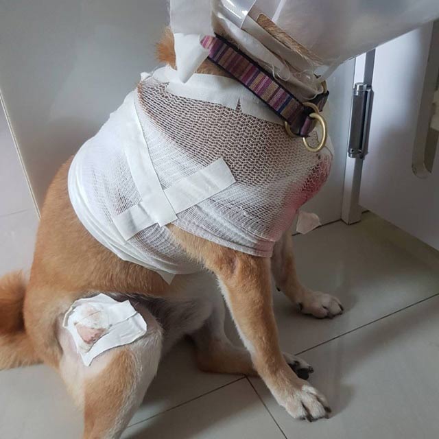 กันต์ กันตถาวร