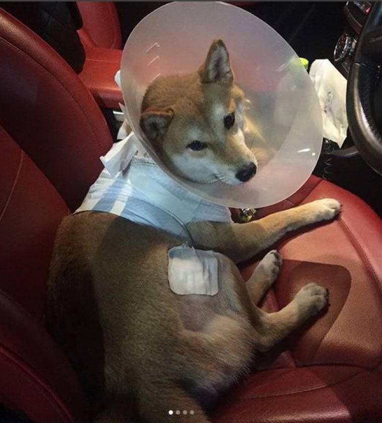 กันต์ กันตถาวร