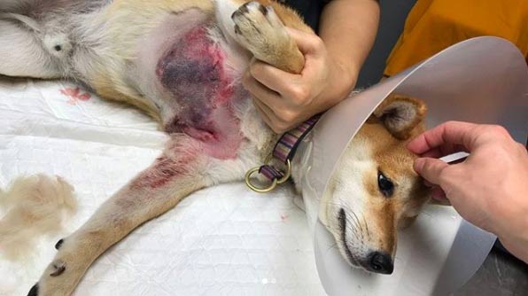 กันต์ กันตถาวร