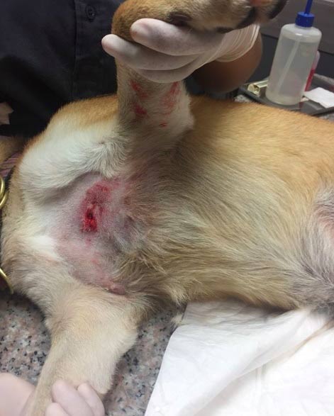 กันต์ กันตถาวร