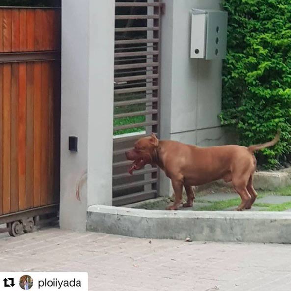 กันต์ กันตถาวร