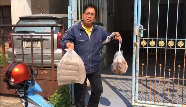 ทารุณหมา