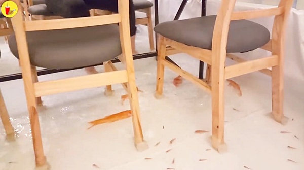  คาเฟ่แนวใหม่ 