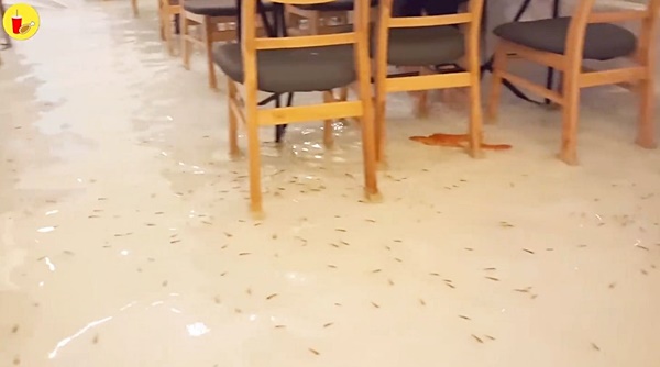  คาเฟ่แนวใหม่ 