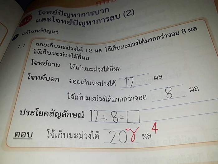 การบ้าน เด็กประถม