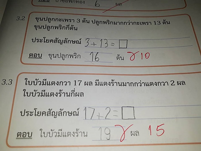 การบ้าน เด็กประถม