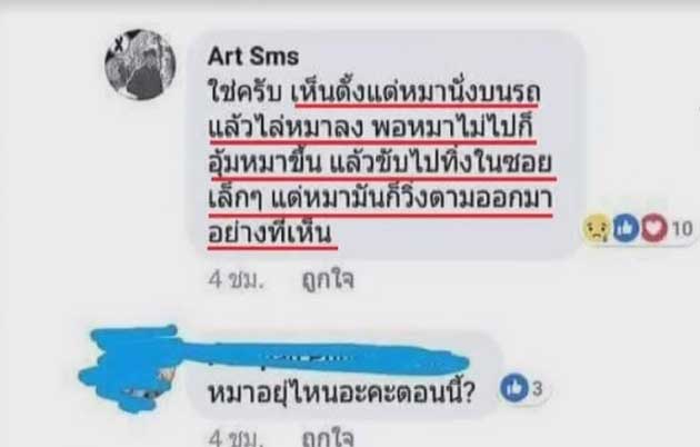 หมาถูกทิ้ง