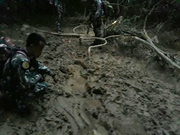 ช้างป่าถูกกระบะชน 