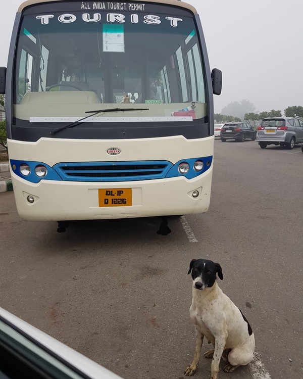 แอน ทองประสม 