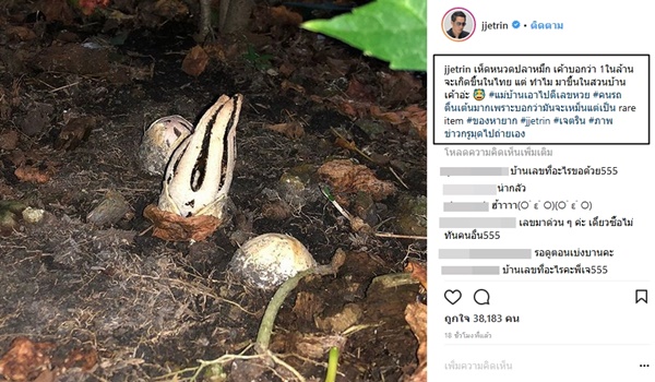  เจ เจตริน 