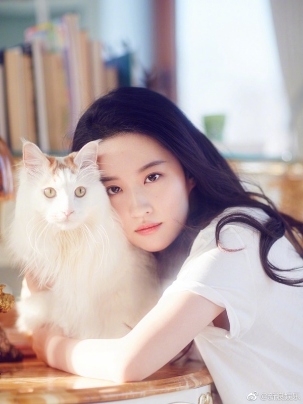  หลิวอี้เฟย นางฟ้าของแมวเหมียว 