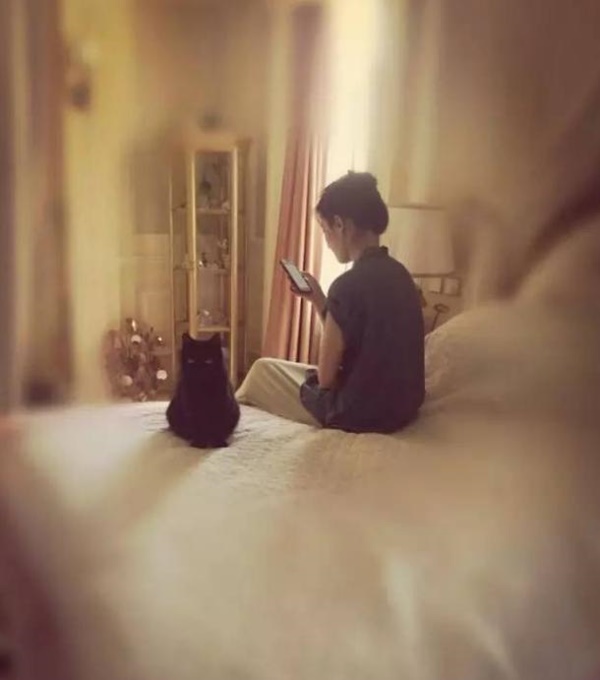  หลิวอี้เฟย นางฟ้าของแมวเหมียว 