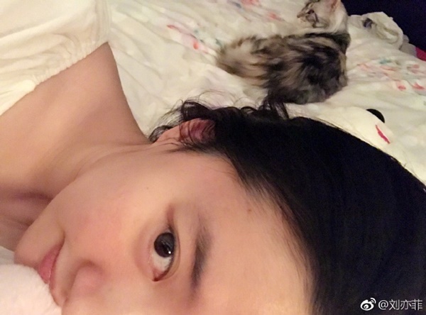  หลิวอี้เฟย นางฟ้าของแมวเหมียว 