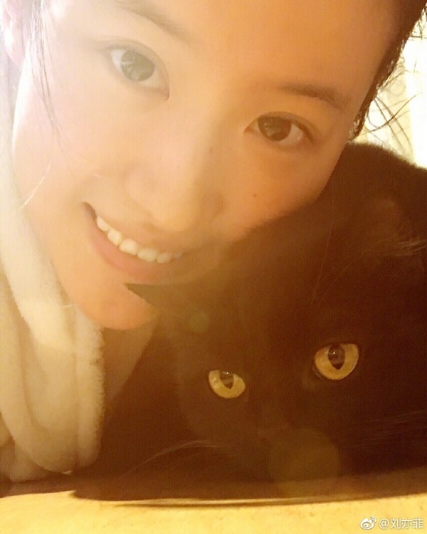  หลิวอี้เฟย นางฟ้าของแมวเหมียว 