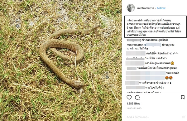 น้ำ รพีภัทร ถูกงูกัด