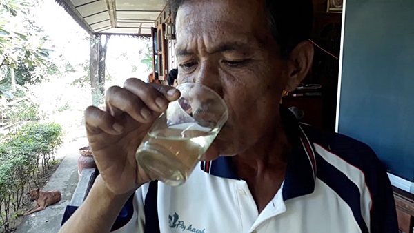 ต้นอังกาบหนู