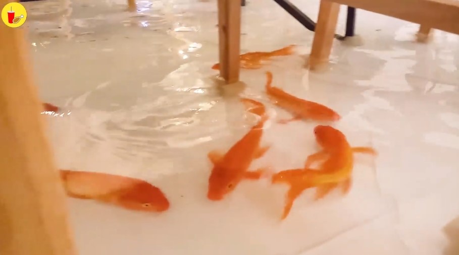  คาเฟ่แนวใหม่  