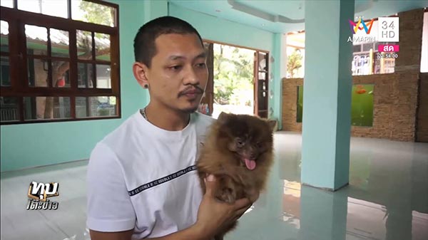 ทารุณสัตว์