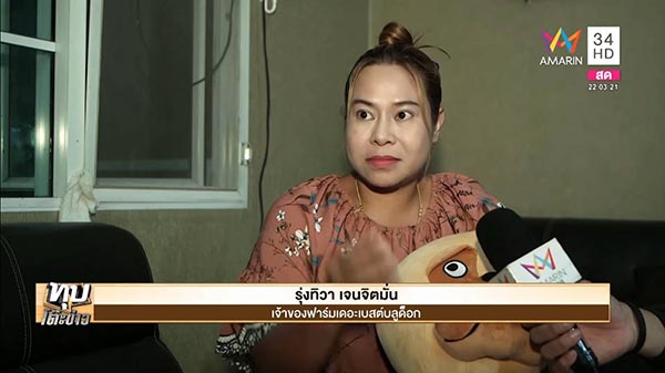 ทารุณสัตว์