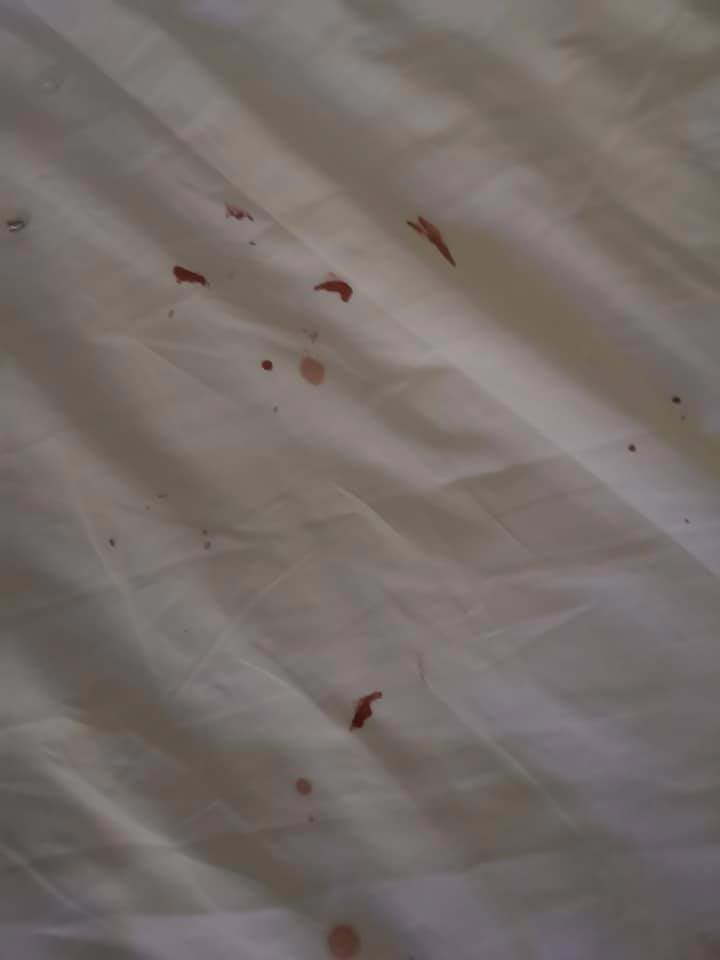 น้ำเพชร ฏีญาร์ภา