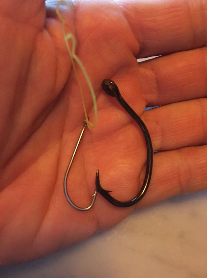 ช่วยฉลาม