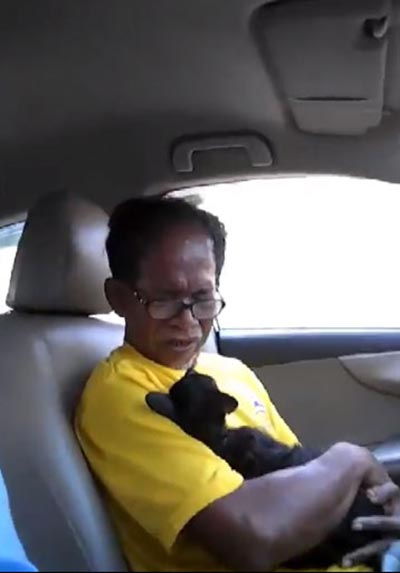 วางยาแมว