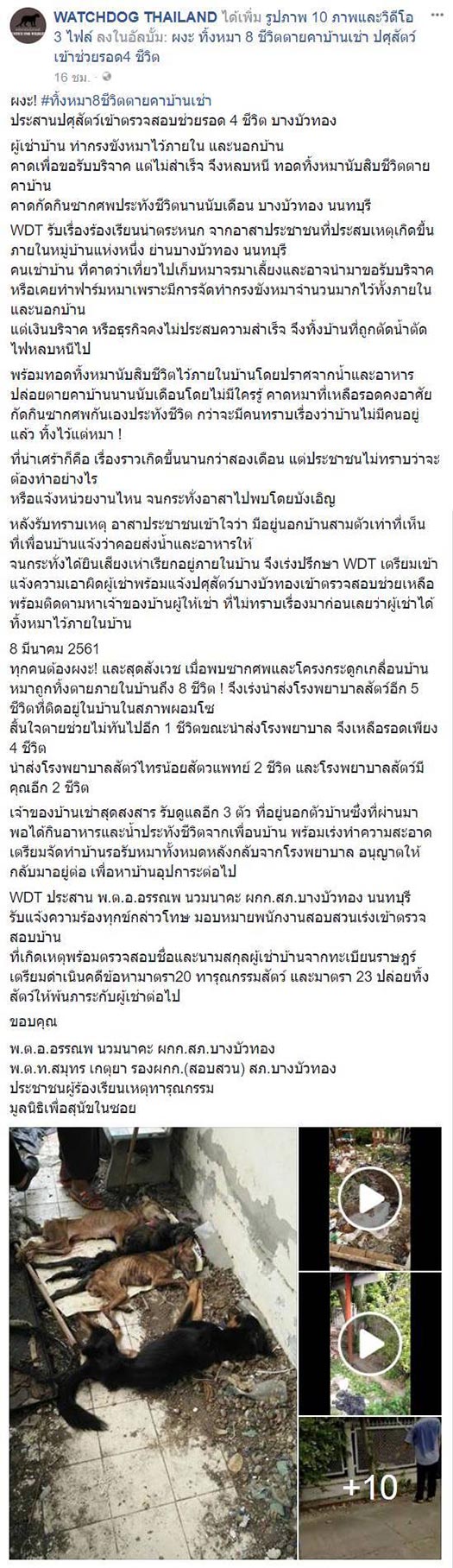 ทิ้งหมา