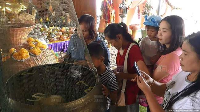 คอหวยแห่ส่องเลขในอ่างน้ำมนต์